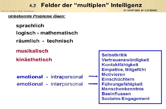 p1k1Nr1 multiple Intelligenz