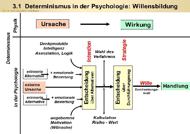 Entscheidung strafrechtlich