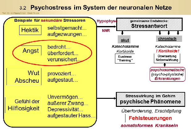 p3k2Nr2 Stressformen